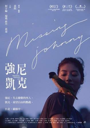 Пропавший Джонни онлайн